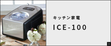 ICE-100