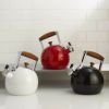 ケトルおしゃれかわいいナンベホーローエナメルやかん1.9LIH対応NambeMeridian2qt.EnameledSteelTeaPot