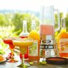 【送料無料】ダッシュシェフシリーズプレミアムデジタルブレンダーDashChefSeriesPremiumDigitalBlender【RCP】【after20130308】