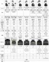 【最新モデル】バイタミックスミキサーブレンダーVitamixPro780Blender1日あたり40円！【日本語説明書付】