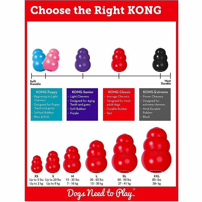 KongClassicDogToy