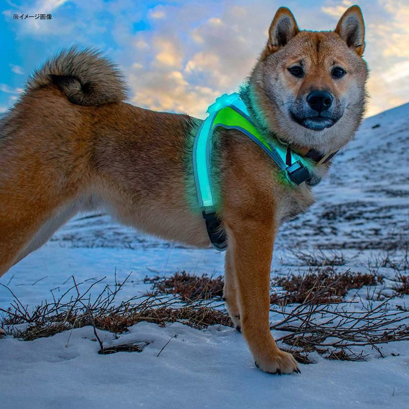 LEDライト付犬用ハーネス充電式光る軽量防雨反射材夜間お散歩noxgearLightHound?RevolutionaryIlluminatedandReflectiveHarnessforDogsIncludingMulticoloredLEDFiberOptics(USBRechargeable,Adjustable,Lightweight,Rainproof)