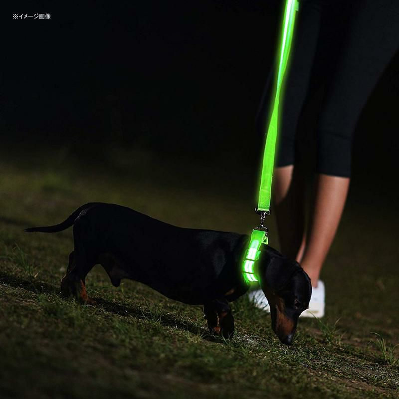 LEDライト付犬用首輪充電式光る夜間ペットIllumiseenLEDDogCollar-USBRechargeable-Availablein6Colors&6Sizes-MakesYourDogVisible,Safe&Seen