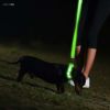 LEDライト付犬用首輪充電式光る夜間ペットIllumiseenLEDDogCollar-USBRechargeable-Availablein6Colors&6Sizes-MakesYourDogVisible,Safe&Seen