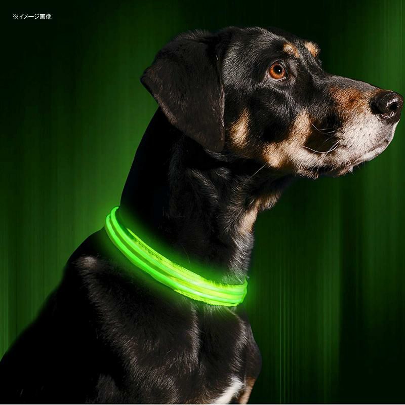 LEDライト付犬用首輪充電式光る夜間ペットIllumiseenLEDDogCollar-USBRechargeable-Availablein6Colors&6Sizes-MakesYourDogVisible,Safe&Seen