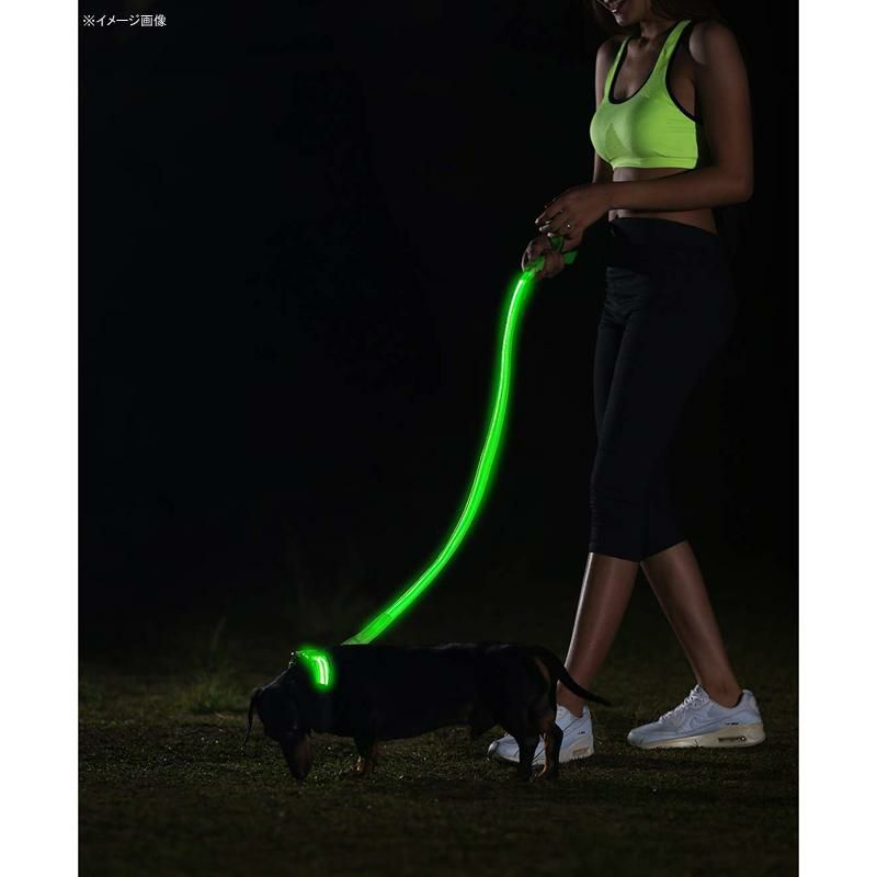 LEDライト付犬用首輪充電式光る夜間ペットIllumiseenLEDDogCollar-USBRechargeable-Availablein6Colors&6Sizes-MakesYourDogVisible,Safe&Seen