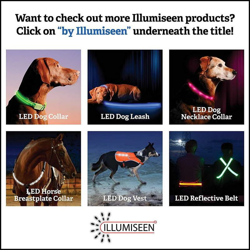 LEDライト付犬用首輪充電式光る夜間ペットIllumiseenLEDDogCollar-USBRechargeable-Availablein6Colors&6Sizes-MakesYourDogVisible,Safe&Seen