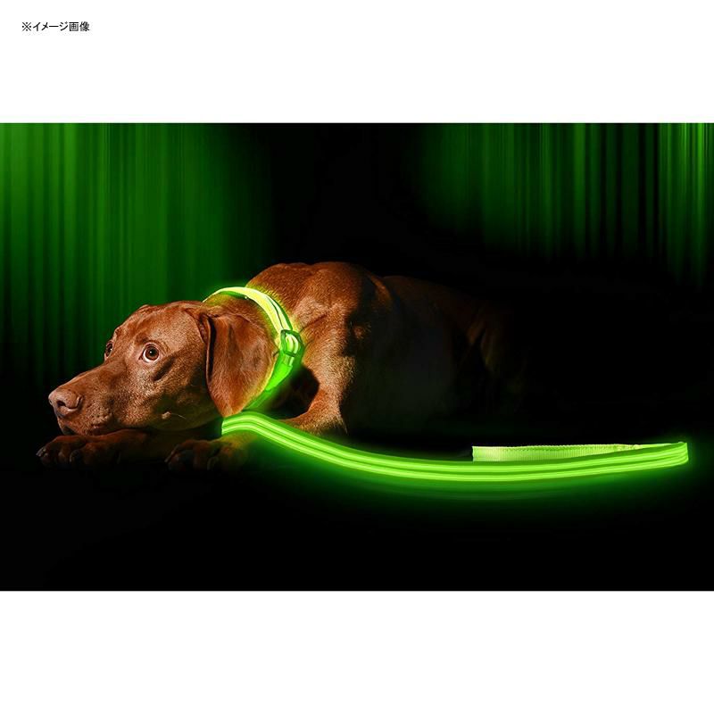 LEDライト付犬用首輪充電式光る夜間ペットIllumiseenLEDDogCollar-USBRechargeable-Availablein6Colors&6Sizes-MakesYourDogVisible,Safe&Seen