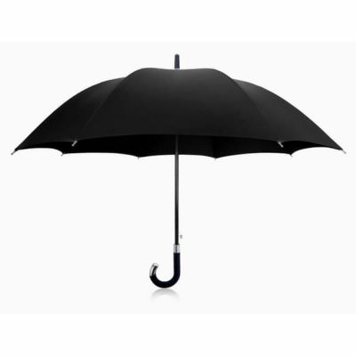 高級 ジャンプ傘 ダベック エリート 雨傘 ロング傘 THE DAVEK ELITE Umbrella