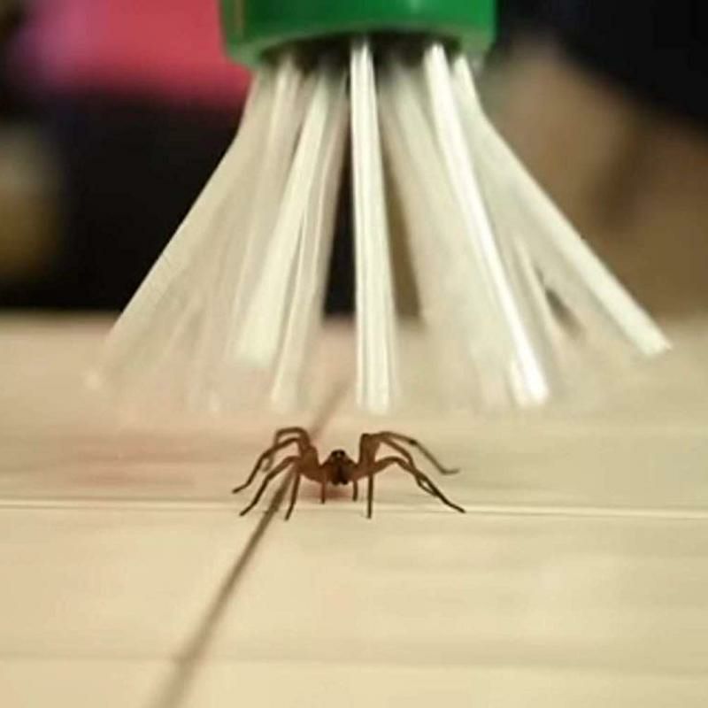 虫を安全に捕獲虫キャッチャー2個セットクモハチゴキブリハエカメムシムカデ害虫MyCritterCatcherSpiderandInsectCatcher(Packof2)