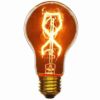 サンライト60ワット白熱灯カーボンフィラメントアンティークスタイルA19電球Sunlite60A19/CFIncandescent60-Watt,MediumBased,CarbonFilamentAntiqueStyleA19Bulb,Clear