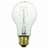 サンライト60ワット白熱灯カーボンフィラメントアンティークスタイルA19電球Sunlite60A19/CFIncandescent60-Watt,MediumBased,CarbonFilamentAntiqueStyleA19Bulb,Clear