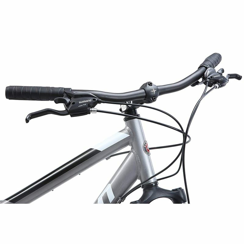 タンデム 自転車 二人乗り シュウィン グレー 26インチ Schwinn Twinn