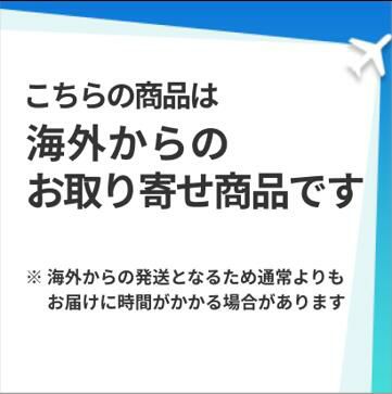 ライノーアーマーストレージトランクケース保管ボックスキューブロイヤルブルーRhinoArmorStorageTrunkCubeRoyalBlue