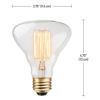 デザイン電球白熱球ラボビンテージ40WE26GlobeElectric84654Designer40WLaboVintageBulb