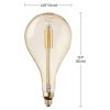 デザイン電球LEDクリアビンテージ500ルーメン5WE26PS56GLOBEELECTRIC30685LedBulb,Clear