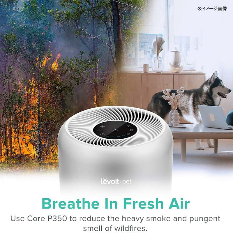 空気清浄機HEPAフィルター消臭静音13畳LEVOITAirPurifiersforHomeAllergiesandPetsHair,H13TrueHEPAFilterforBedroom,24dbFiltrationSystemwithARCFormula,Remove99.97%OdorsSmokeDustMoldPollen,CoreP350,Gray家電