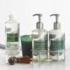 【送料無料】ウィリアムズソノマデラックスハンドソープ＆ローションセットウィンターフォレストWilliams-SonomaWinterForestDeluxeHandSoap&LotionSetwithCaddy