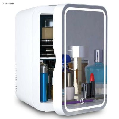 ミニ保冷庫 保温 4L 6缶 USB 車載可 化粧品 Mini Fridge 6 Liter AC