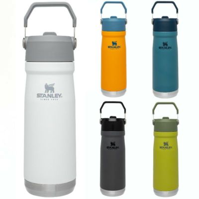 スタンレー アイスフロー フリップストロー ウォーターボトル 650ml 保冷 ステンレス 魔法瓶 THE ICEFLOW FLIP STRAW WATER BOTTLE | 22 OZ