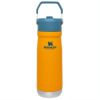 スタンレーアイスフローフリップストローウォーターボトル650mlTHEICEFLOWFLIPSTRAWWATERBOTTLE|22OZ