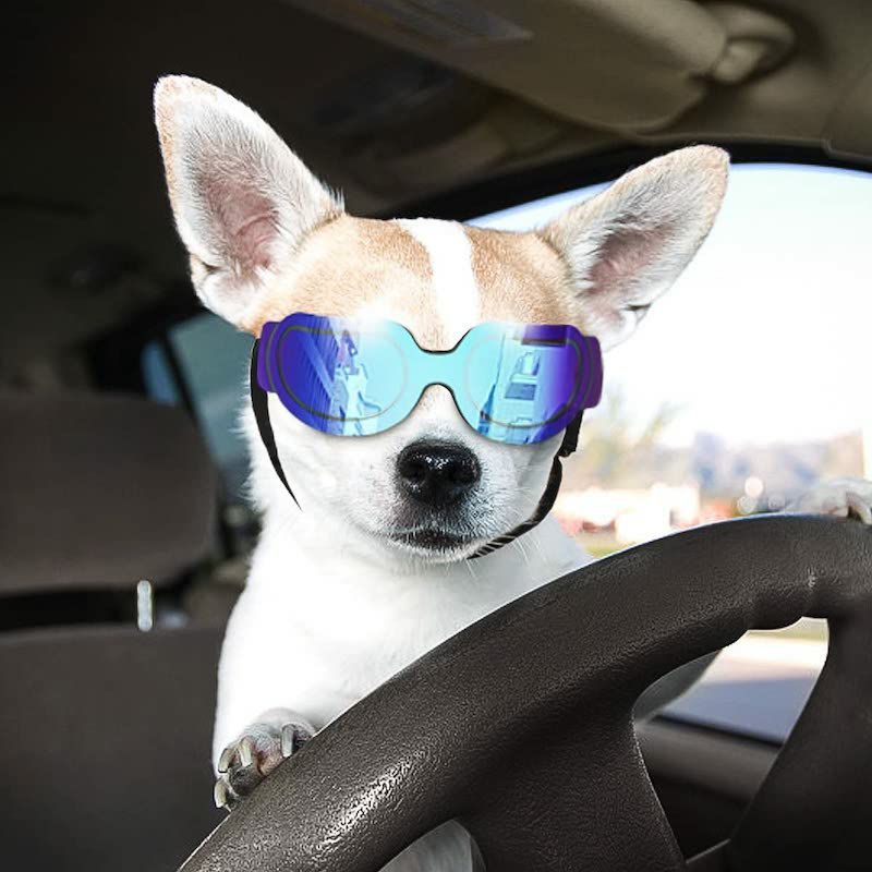 ペット用ゴーグルサングラス防水防塵UVレンズドッグキャット犬猫NamsanDogGogglesSmalltoMediumDogSunglassesUVResistantWindproofSnowproofDoggyGogglesCatGlasses