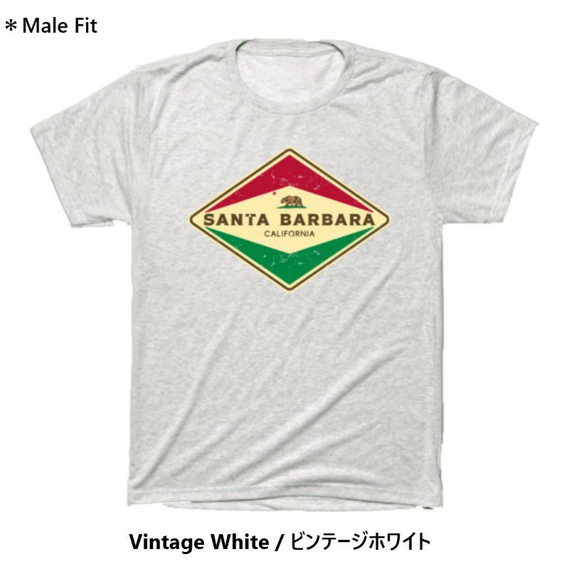 TシャツサンタバーバラカリフォルニアカリフォルニアベアーアメリカTEEPUBLICSantaBarbaraCaliforniaT-Shirt