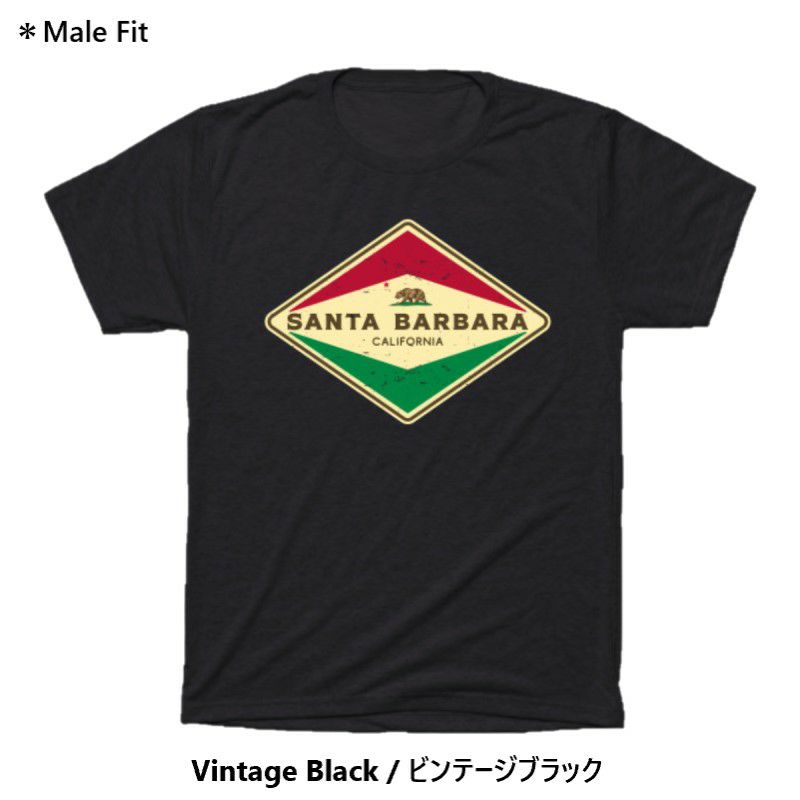 TシャツサンタバーバラカリフォルニアカリフォルニアベアーアメリカTEEPUBLICSantaBarbaraCaliforniaT-Shirt