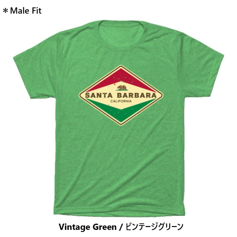 TシャツサンタバーバラカリフォルニアカリフォルニアベアーアメリカTEEPUBLICSantaBarbaraCaliforniaT-Shirt