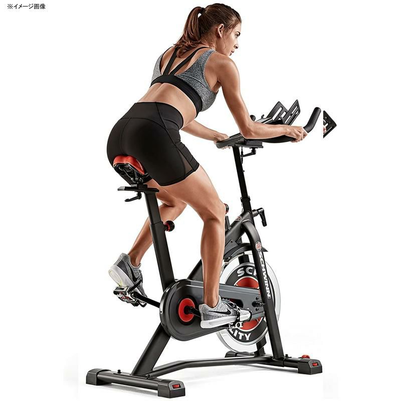 美品 シュウィン Schwinn 隔て クラシッククルーザーエアロバイク NIGO愛用