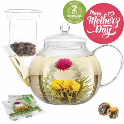 ケトル やかん ガラス ティーポット 1.2L ガラス茶こし 直火 Teabloom Stovetop Safe Glass Teapot with Removable Glass Infuser for Loose Leaf Tea