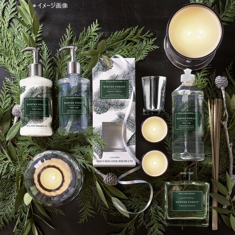 【送料無料】ウィリアムズソノマデラックスハンドソープ＆ローションセットウィンターフォレストWilliams-SonomaWinterForestDeluxeHandSoap&LotionSetwithCaddy